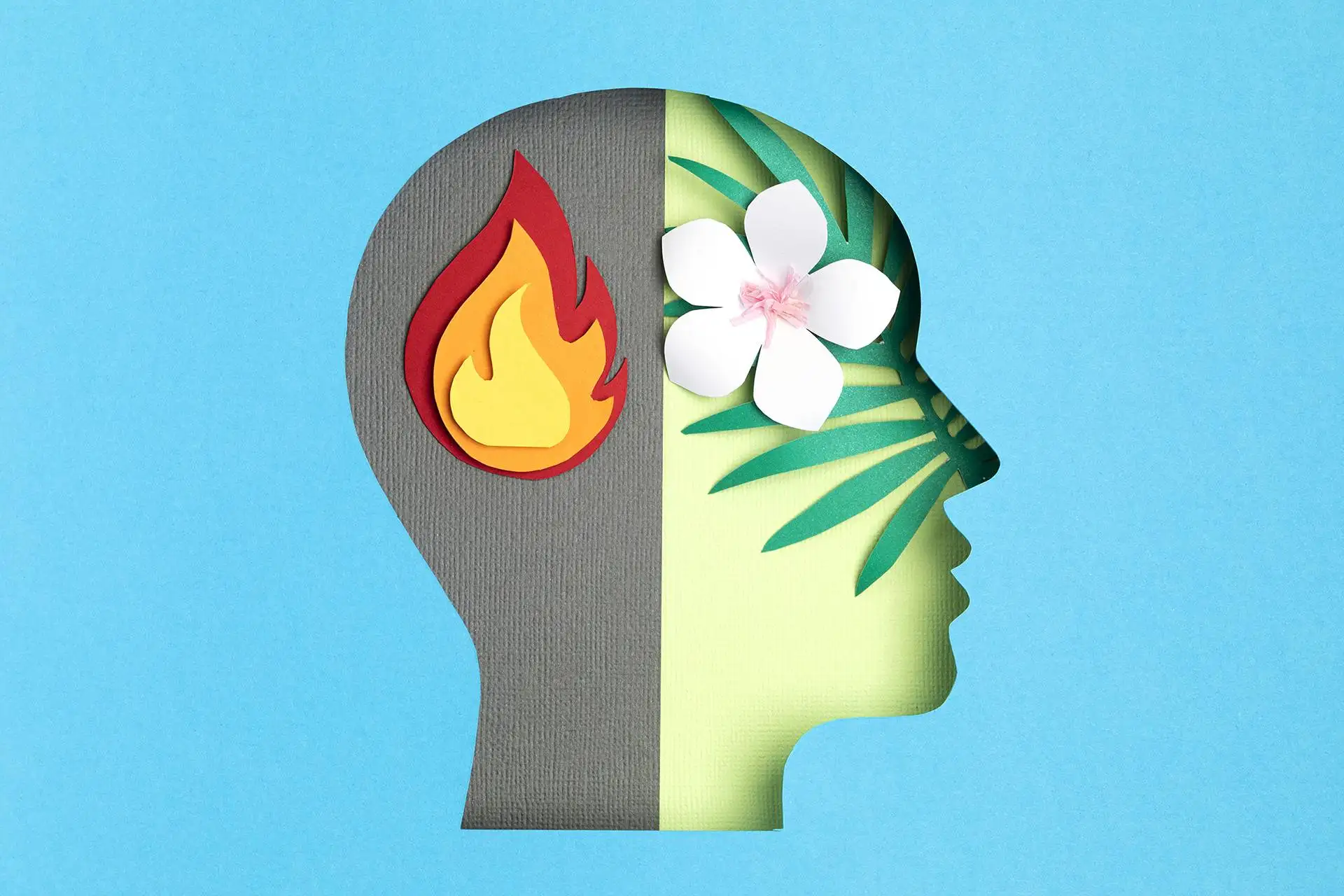 Psychological Disorders & Ayurveda