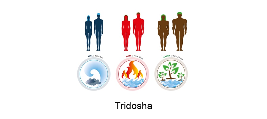 The Concept of Tri-Dosha in Ayurveda